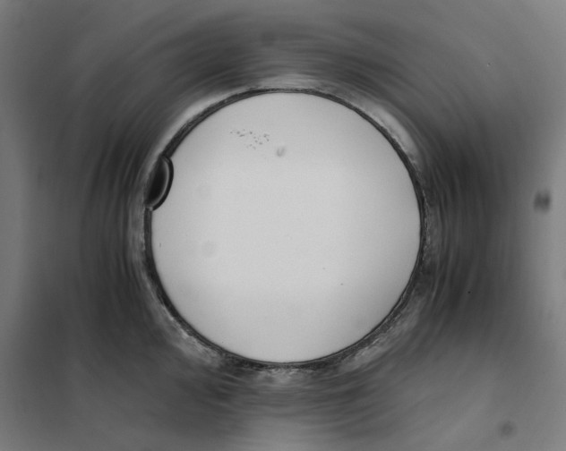 X0000101681000200808071104
