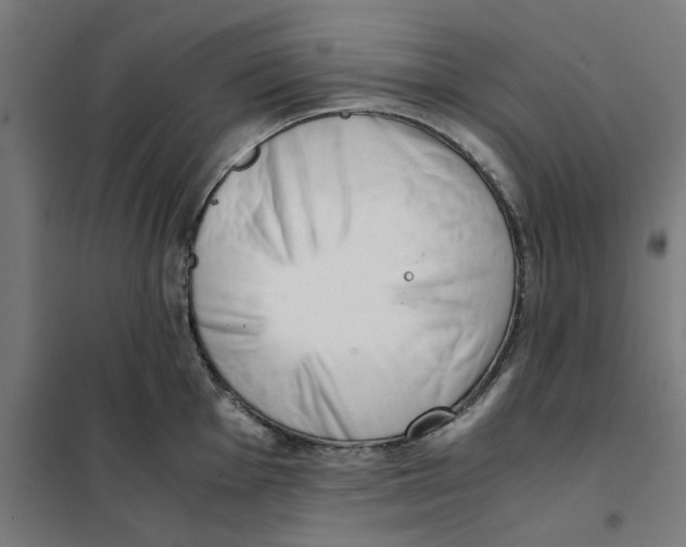 X0000101681001200808071104
