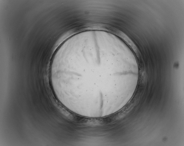 X0000101681002200808071104