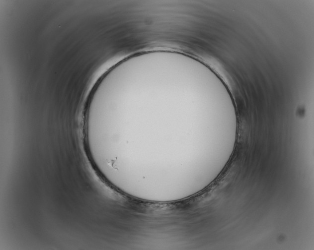 X0000101681003200808071104