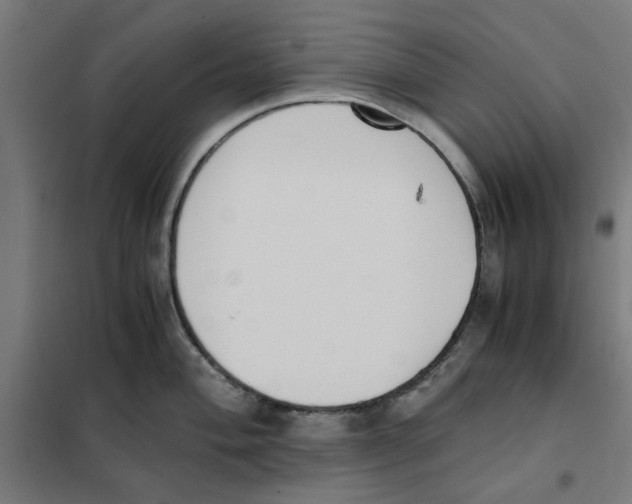 X0000101681004200808071104