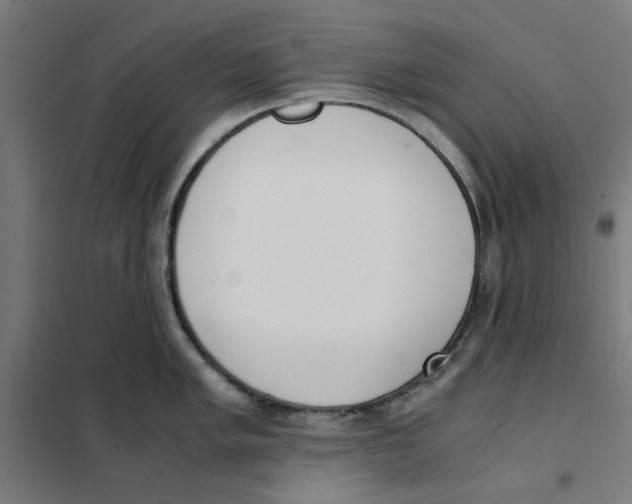 X0000101681005200808071104