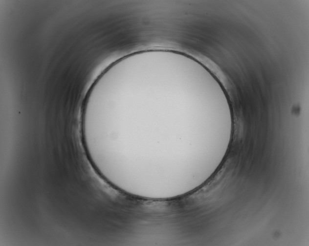 X0000101681006200808071104