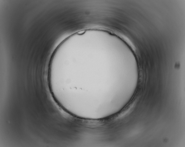 X0000101681007200808071104