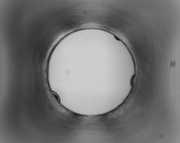 X0000101681008200808071104