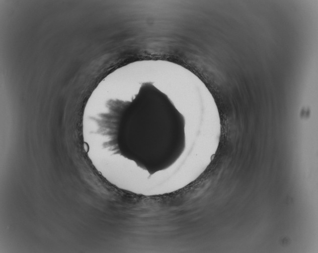 X0000101681009200808071104