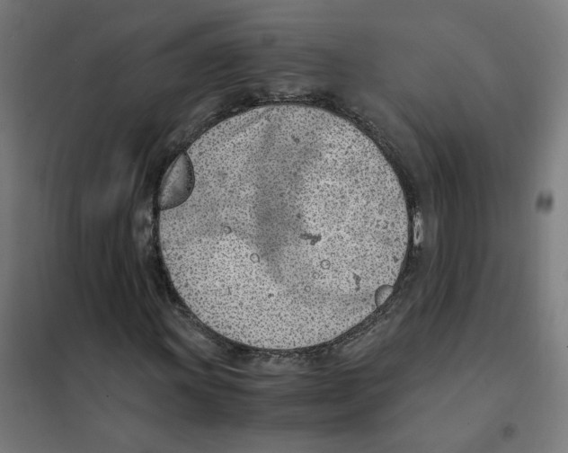 X0000101681011200808071104