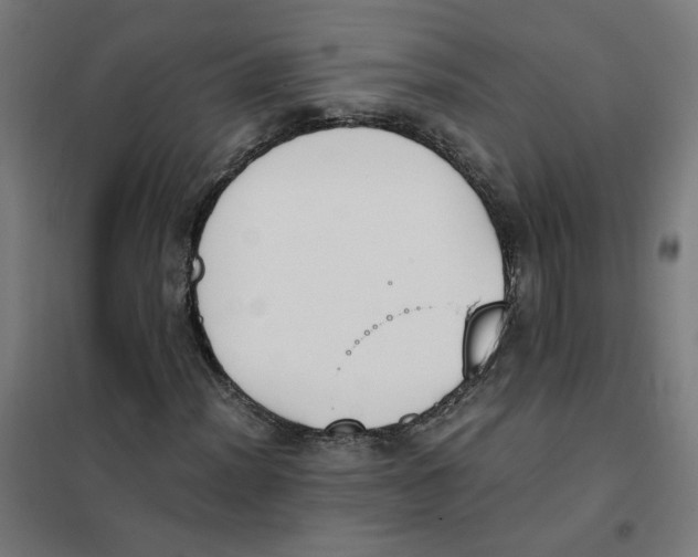 X0000101681012200808071104