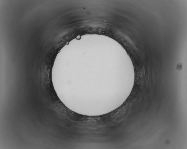 X0000101681013200808071104