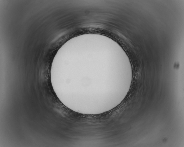 X0000101681014200808071104