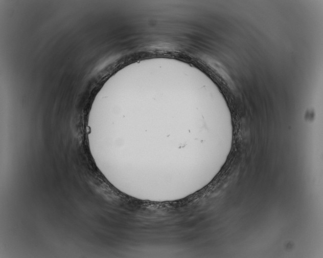 X0000101681015200808071104