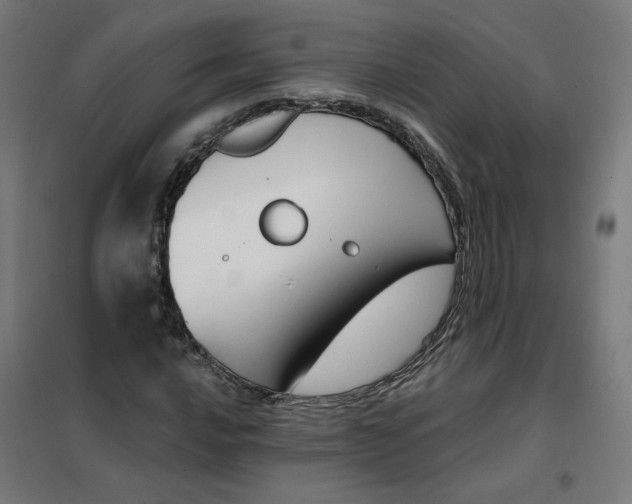 X0000101681016200808071104