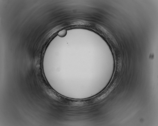X0000101681017200808071104