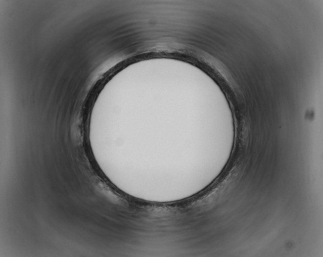 X0000101681018200808071104