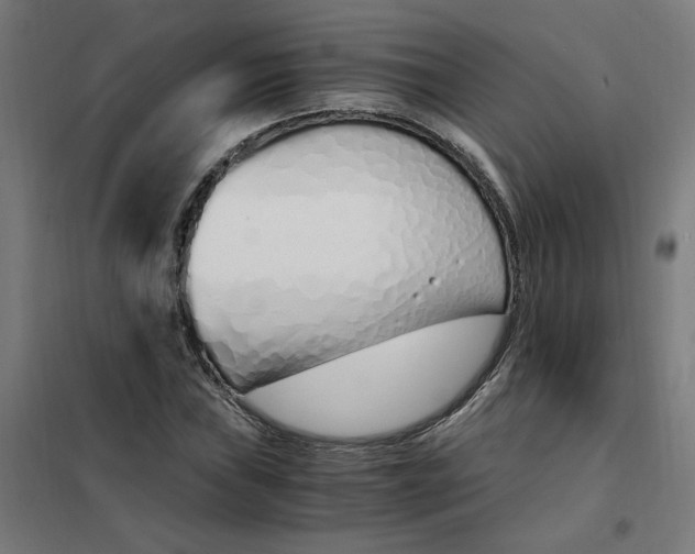 X0000101681019200808071104