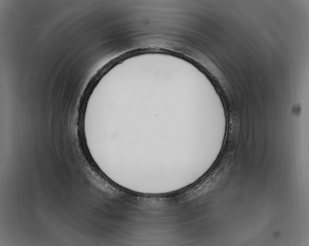 X0000101681020200808071104