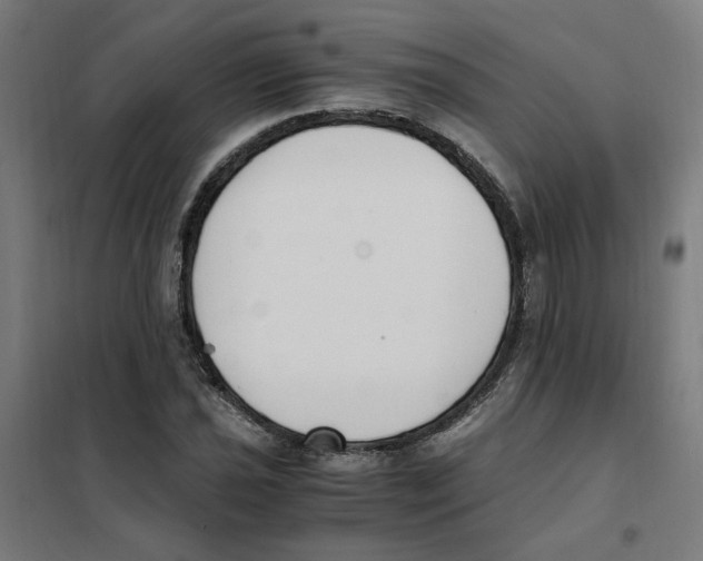 X0000101681021200808071104