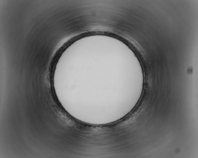 X0000101681022200808071104