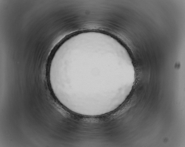 X0000101681023200808071104