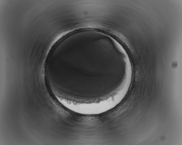 X0000101681024200808071104