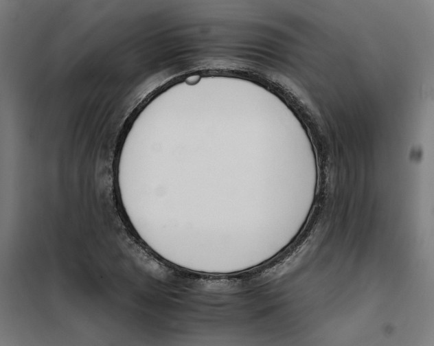 X0000101681025200808071104