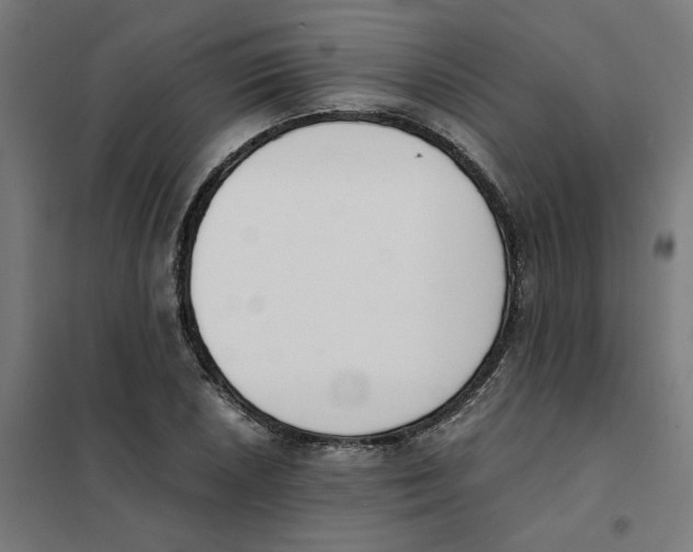 X0000101681026200808071104