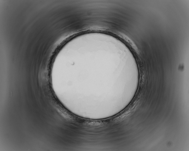 X0000101681027200808071104
