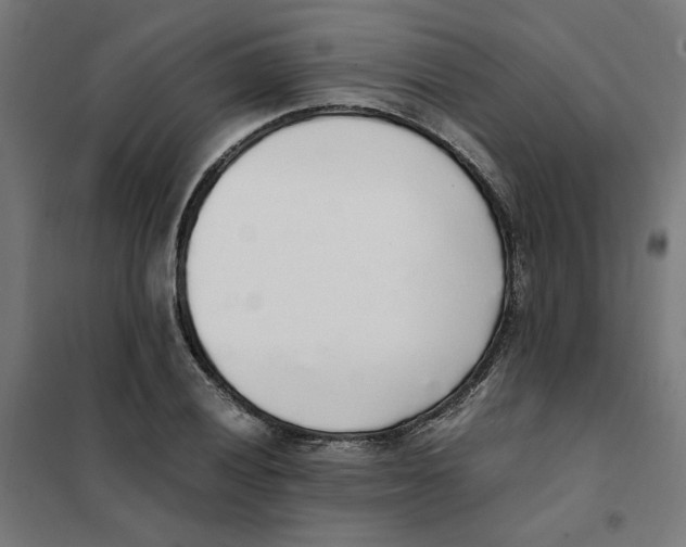 X0000101681028200808071104