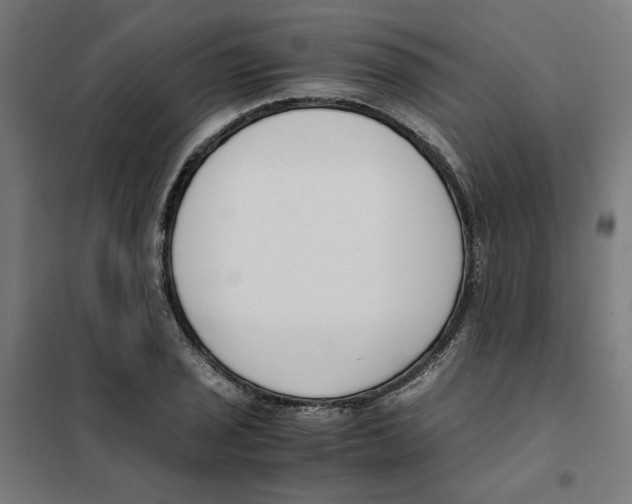 X0000101681029200808071104