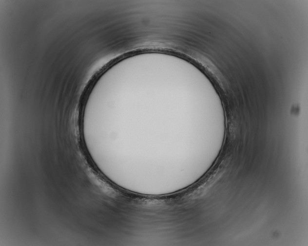 X0000101681030200808071104