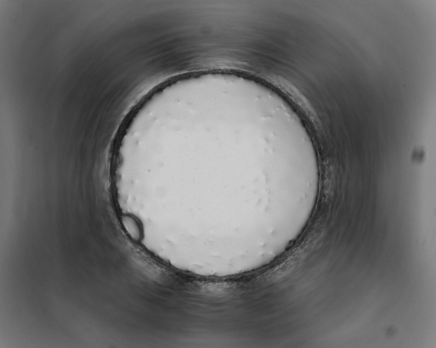 X0000101681031200808071104