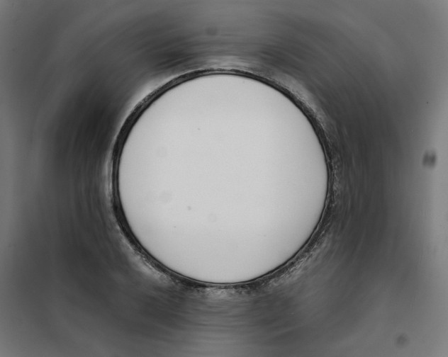 X0000101681032200808071104