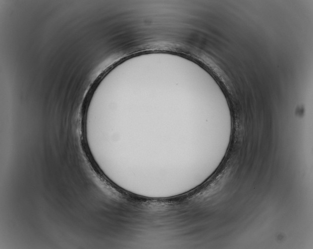 X0000101681034200808071104