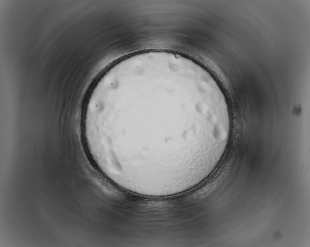 X0000101681035200808071104