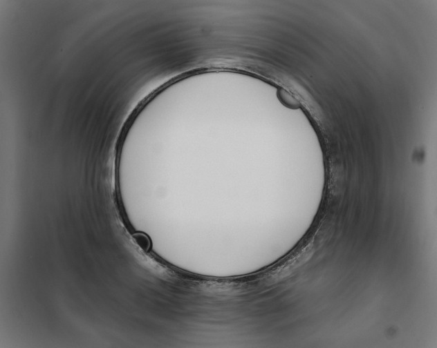 X0000101681036200808071104