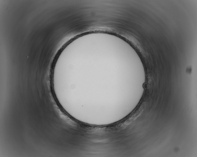 X0000101681038200808071104