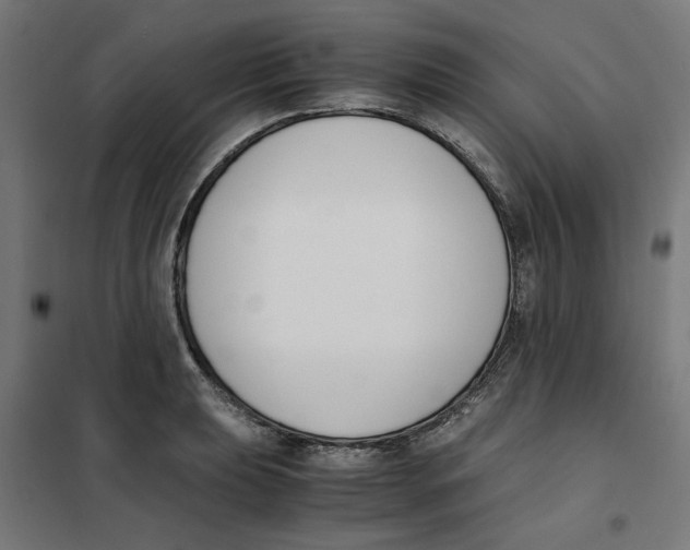 X0000101681039200808071104