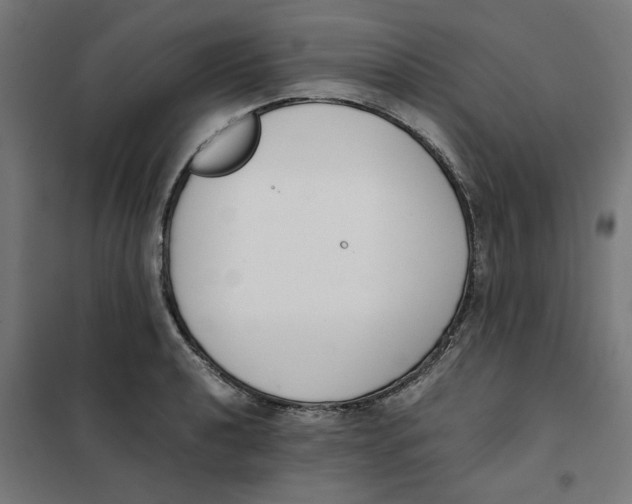 X0000101681040200808071104