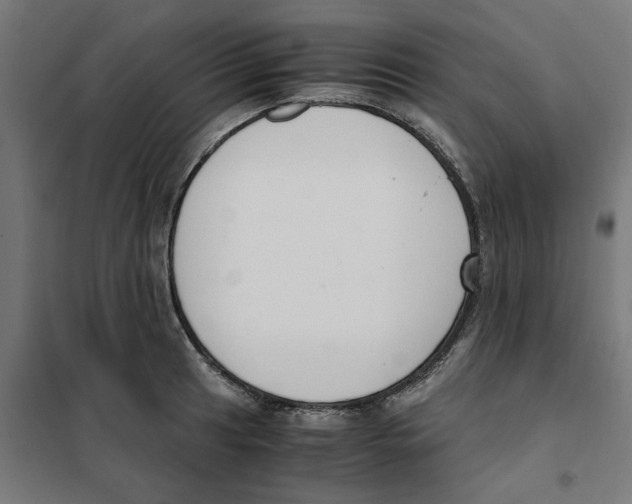 X0000101681041200808071104