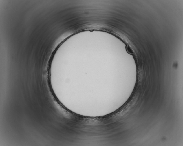 X0000101681042200808071104