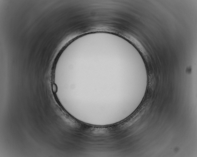 X0000101681043200808071104