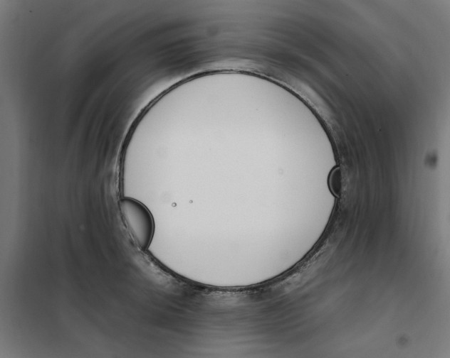 X0000101681044200808071104