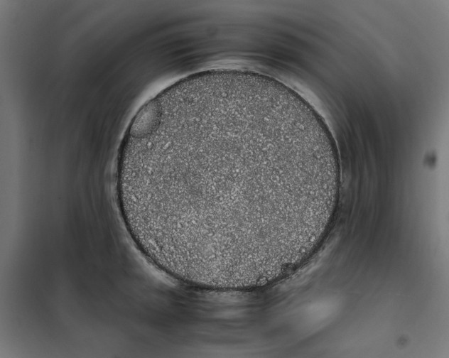 X0000101681045200808071104