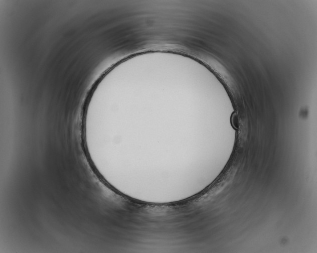 X0000101681046200808071104