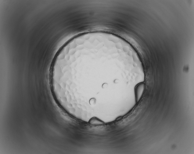 X0000101681047200808071104