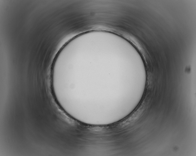 X0000101681048200808071104