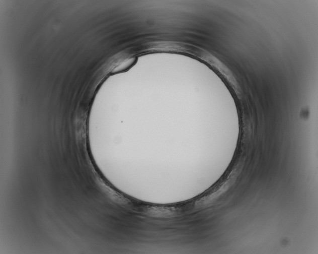 X0000101681049200808071104