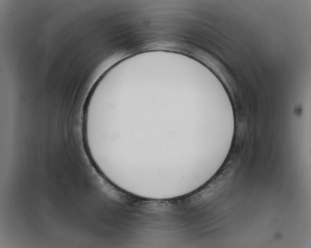 X0000101681050200808071104