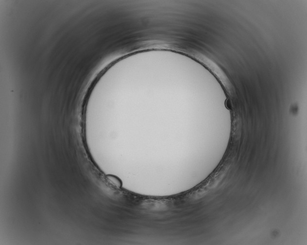 X0000101681051200808071104