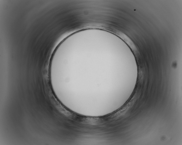 X0000101681052200808071104